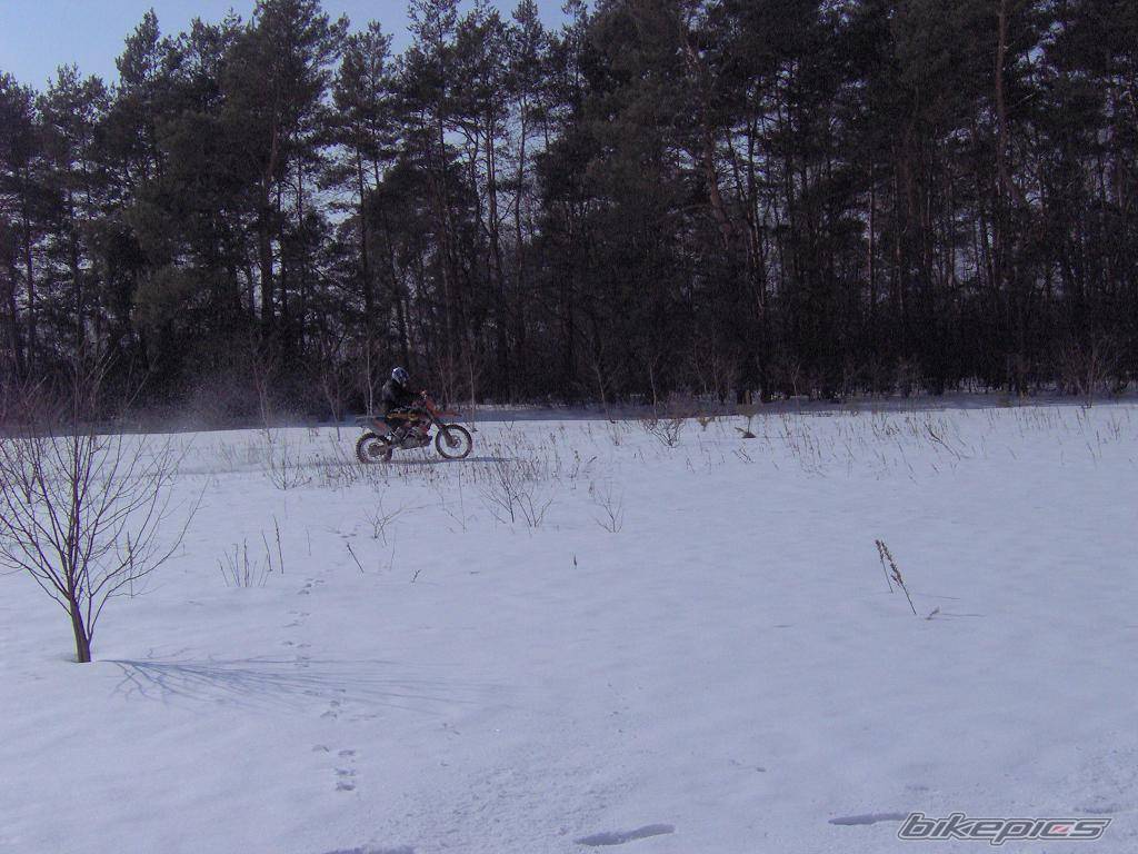 Bike Photo 539737