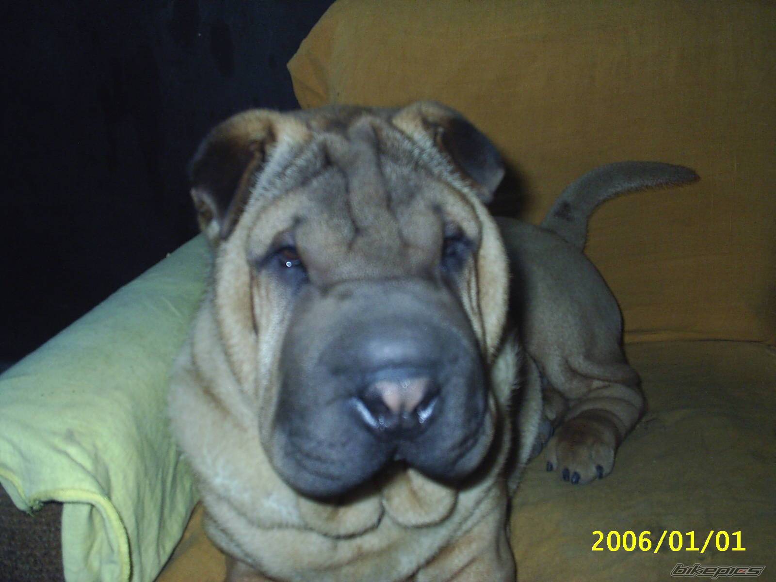 Photo 539876