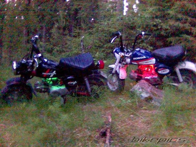 Photo 539888
