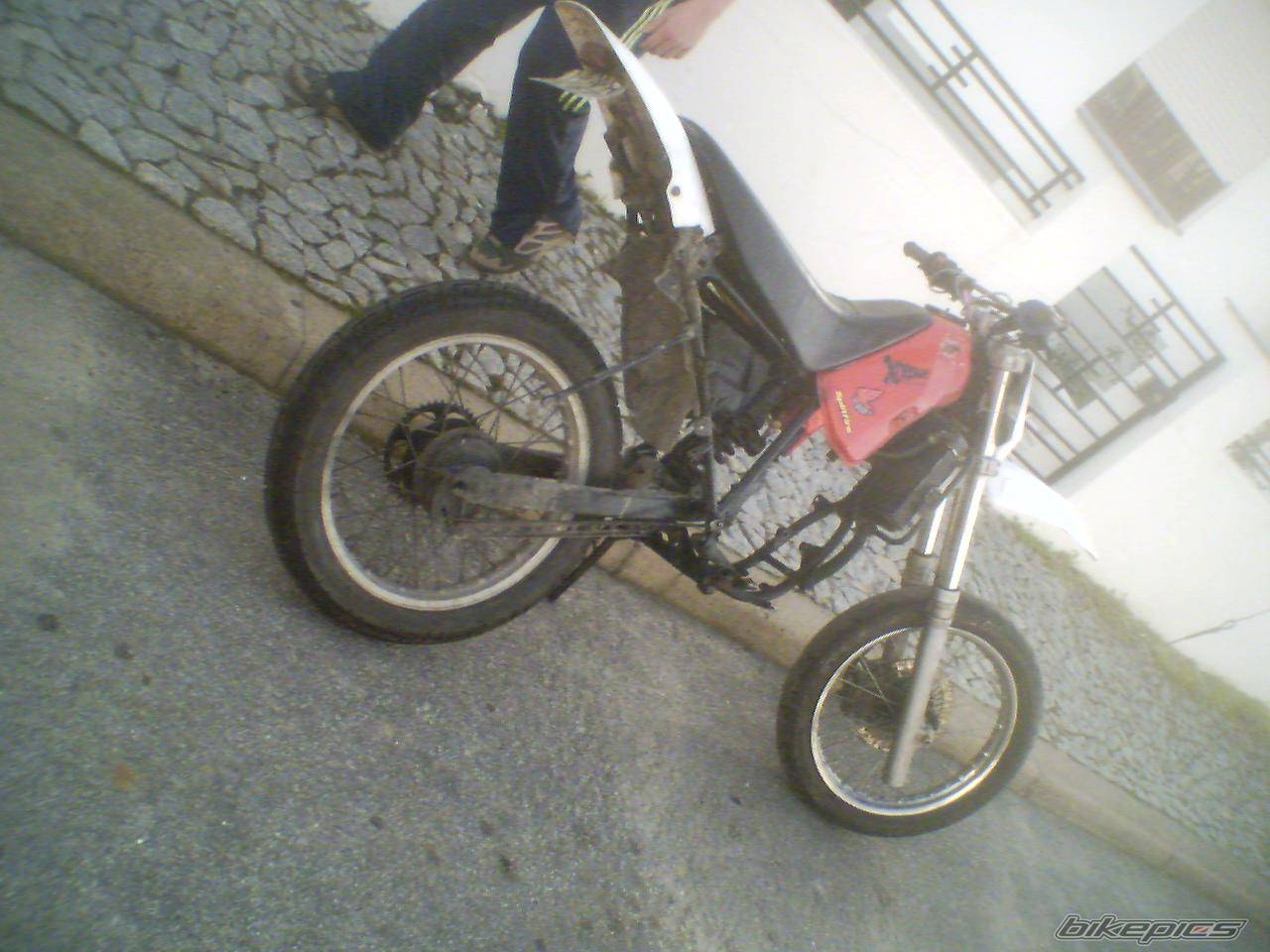 Photo 539993