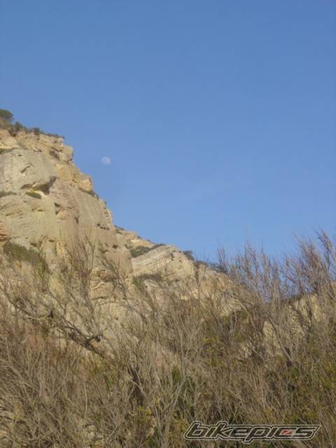 Photo 540463