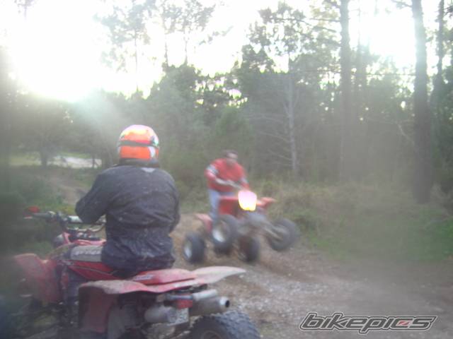 Photo 540480