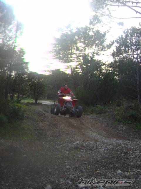 Photo 540487