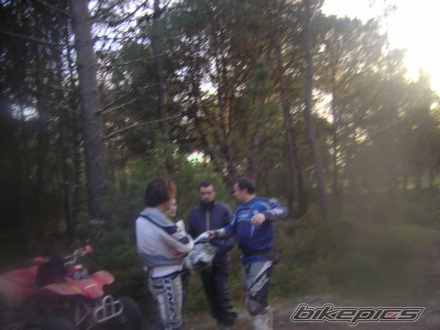 Photo 540496