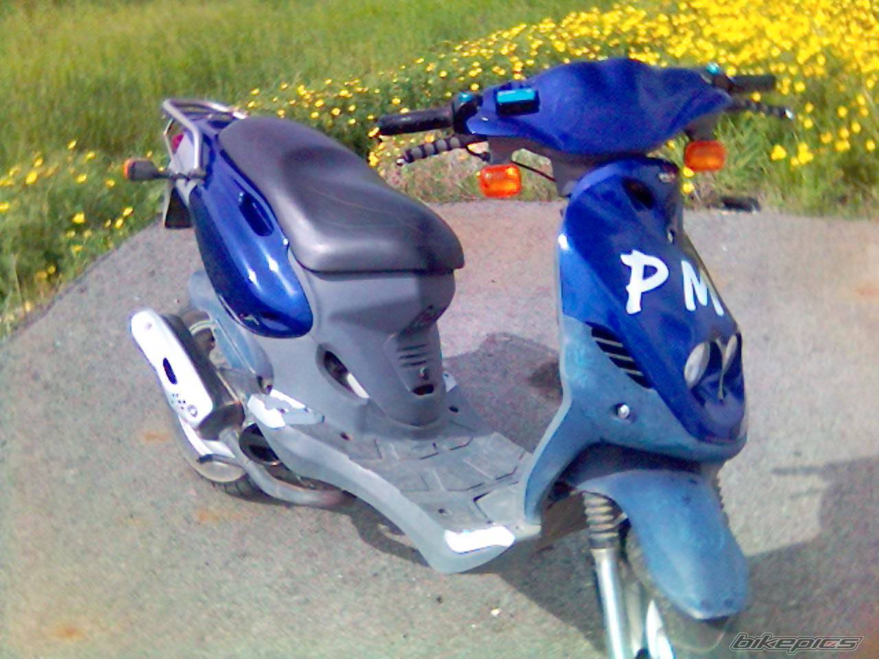 Photo 540578