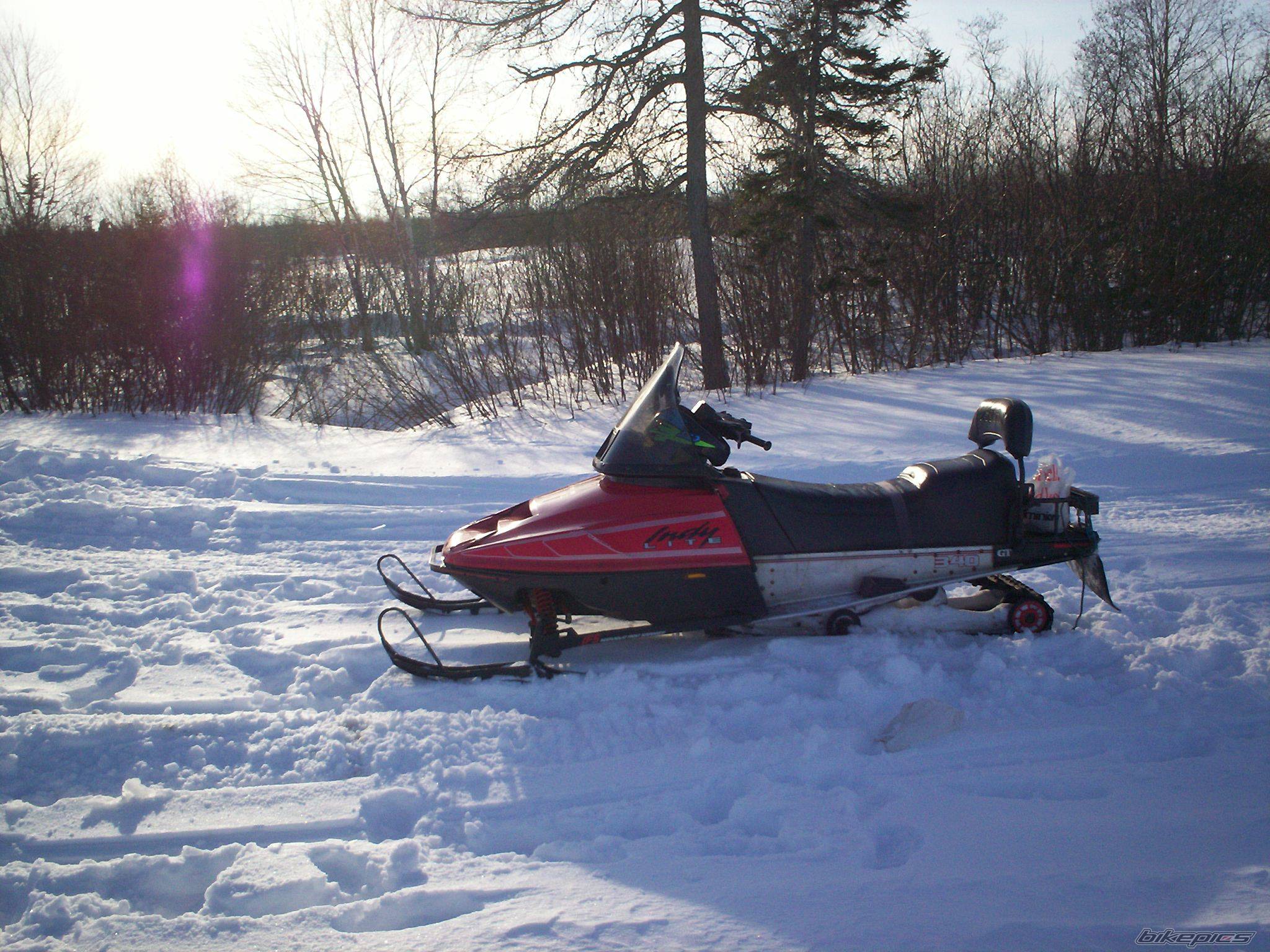 Photo 540773