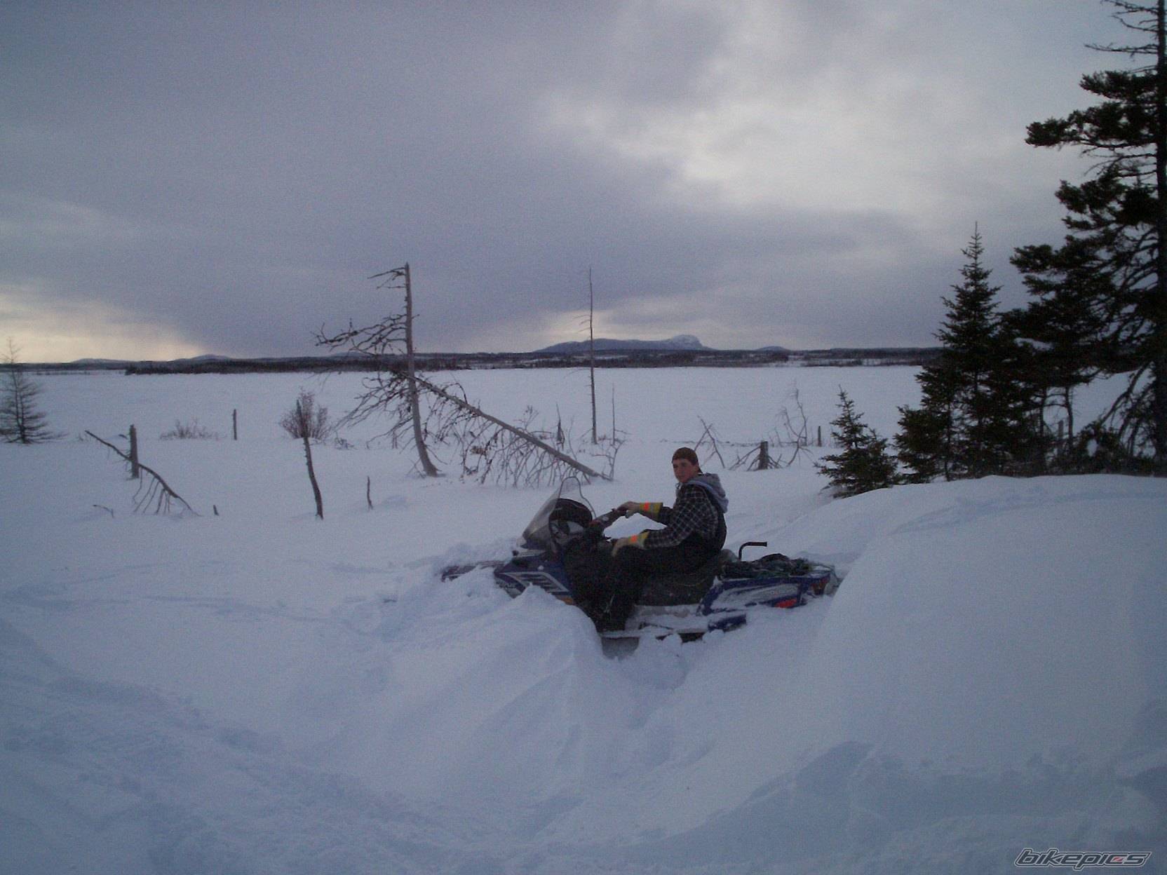 Photo 541060
