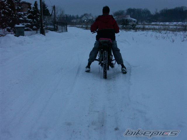 Photo 541160
