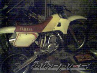 Bike Photo 541376