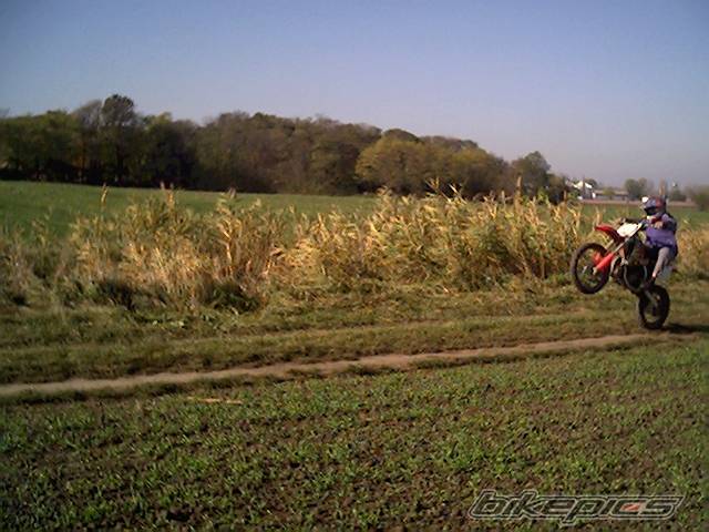 Photo 541556