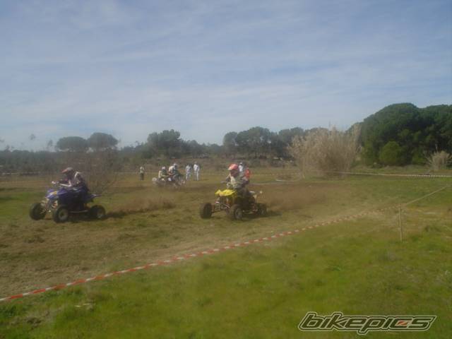 Photo 541582