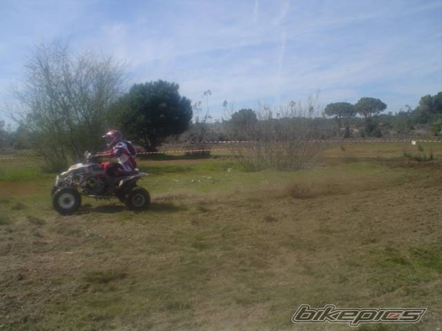 Bike Photo 541583
