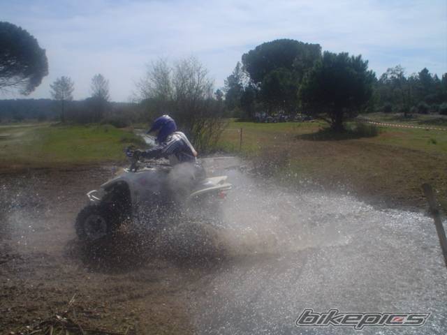 Bike Photo 541594