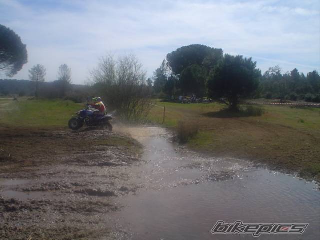 Bike Photo 541595