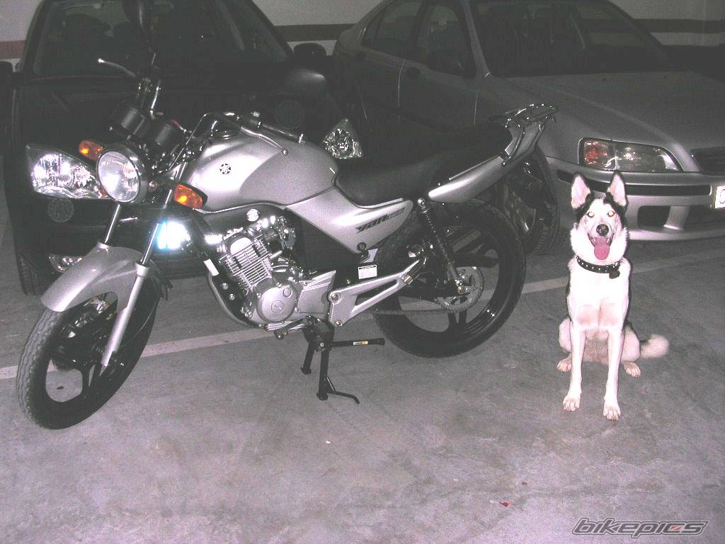 Bike Photo 542116