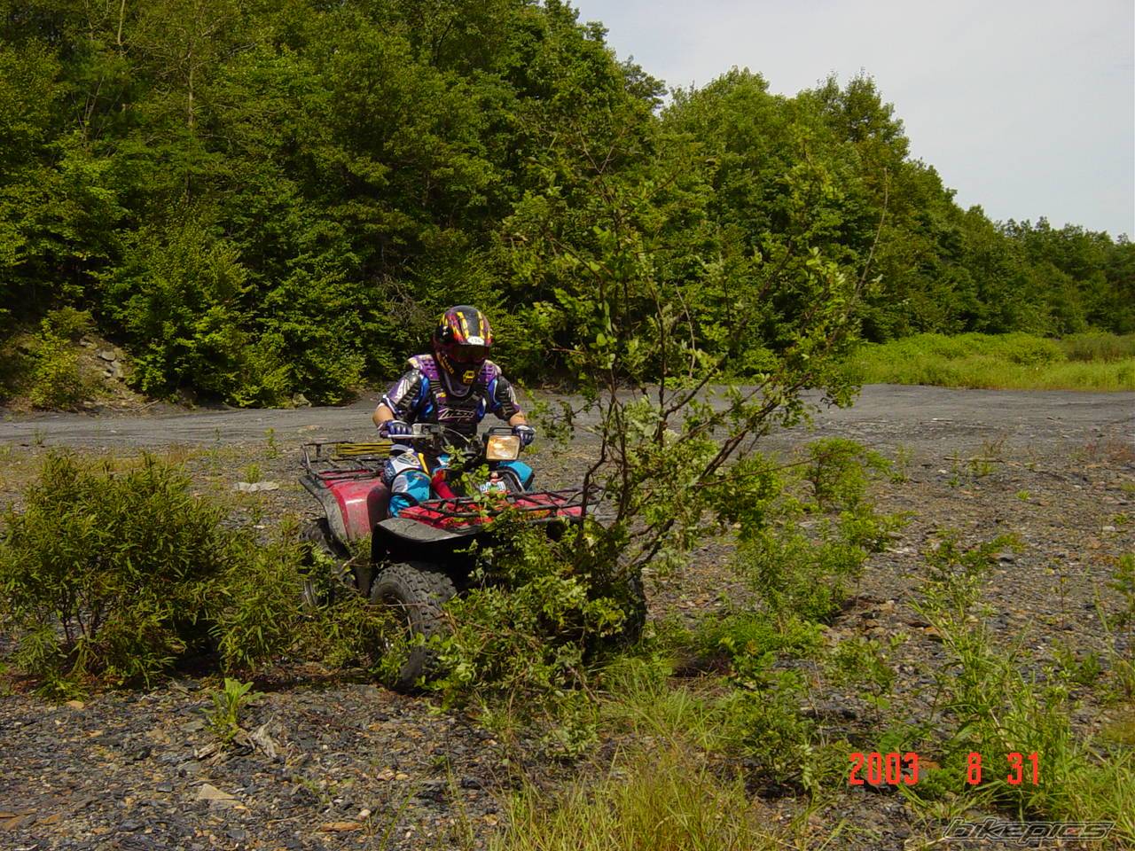 Photo 542140