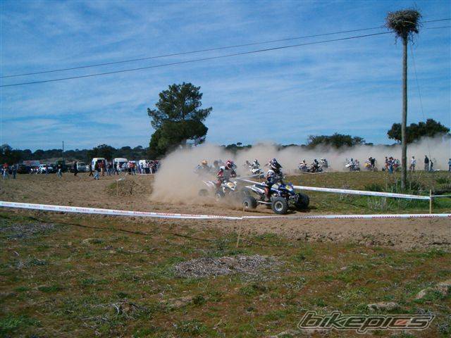 Bike Photo 542256