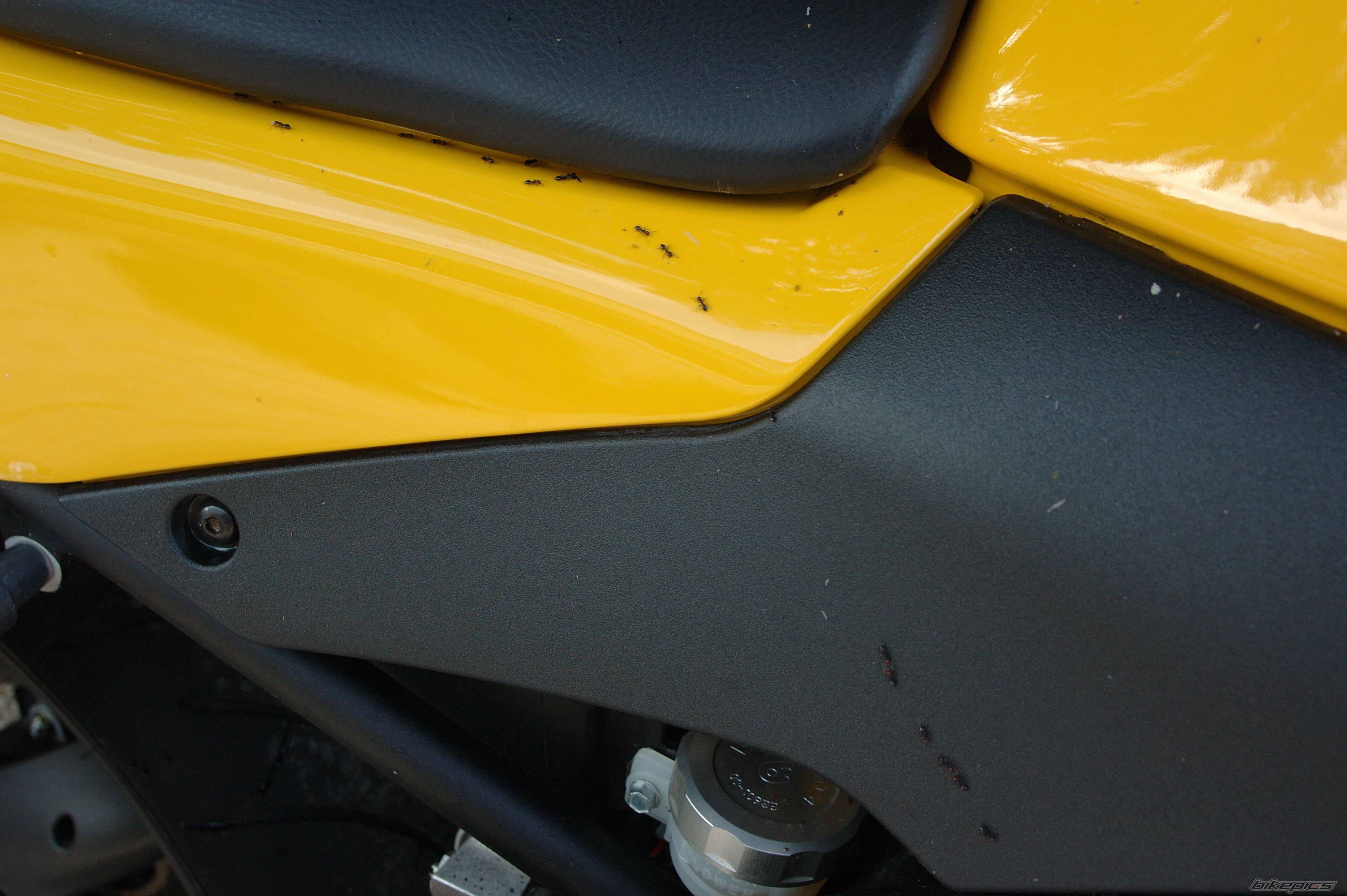 Bike Photo 542308