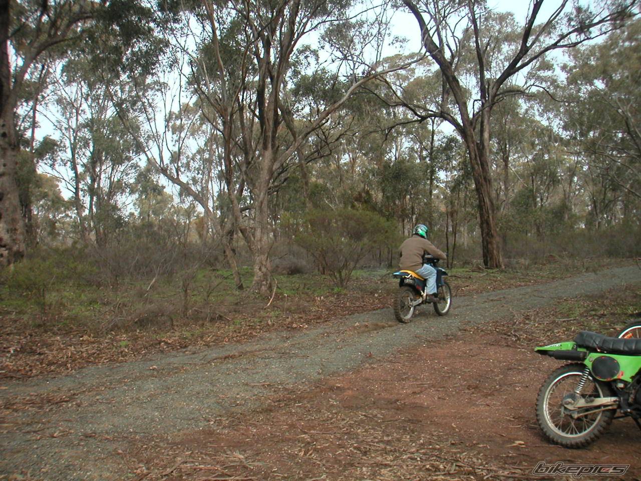 Bike Photo 54244