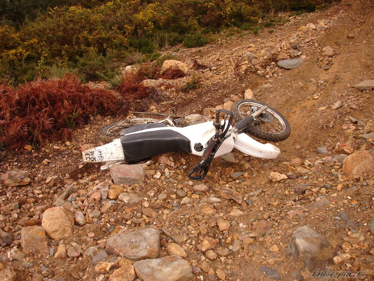 Bike Photo 542540