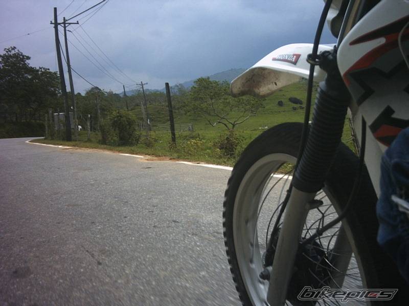 Bike Photo 542635