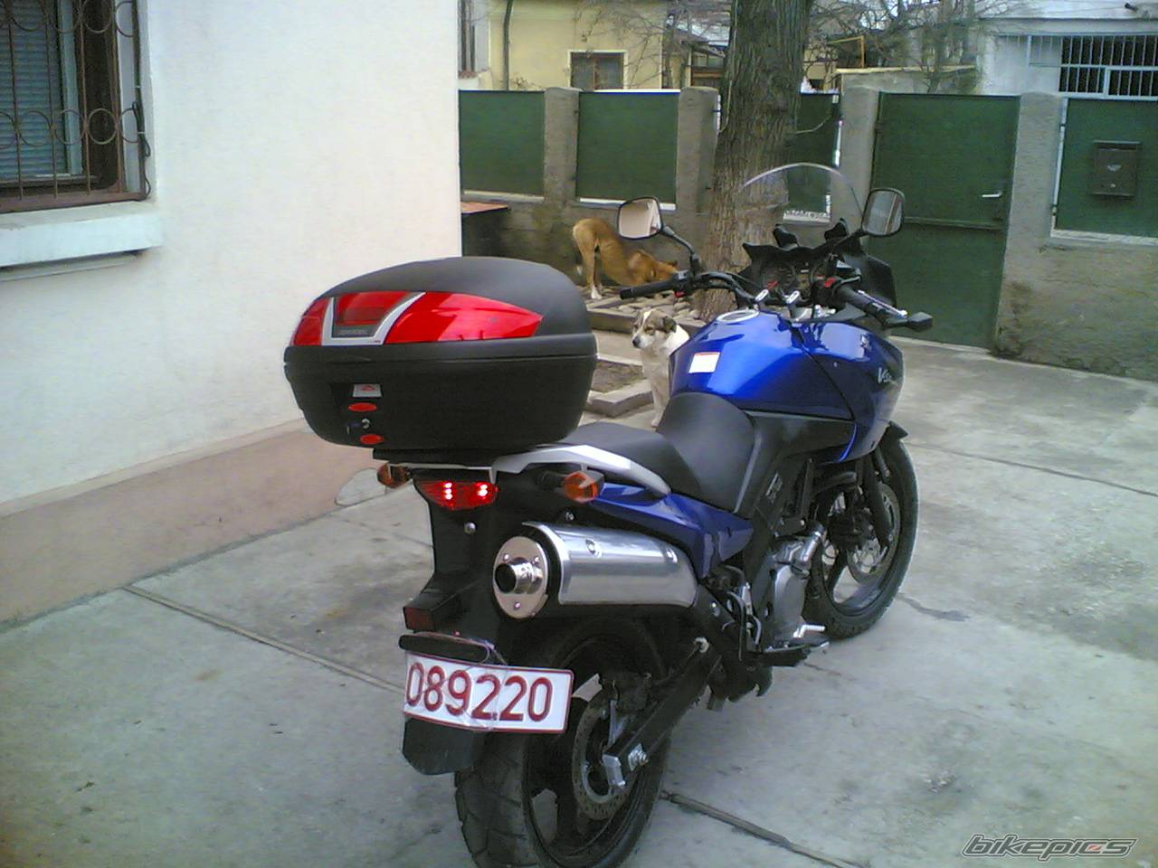Photo 542842