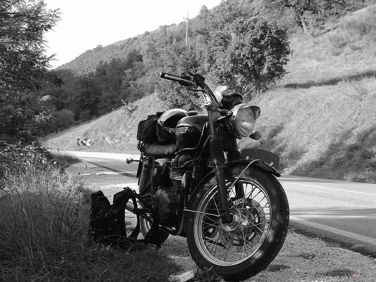 Bike Photo 542915