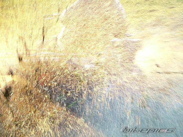 Photo 543069