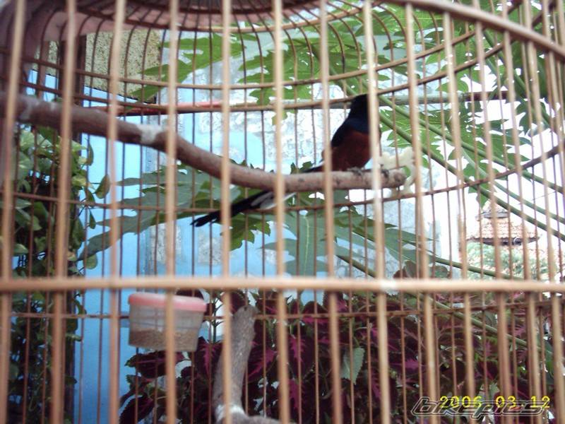 Photo 543144