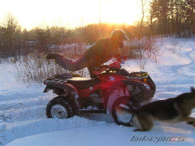 Photo 543195