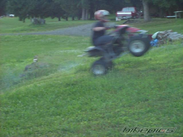 Photo 54358