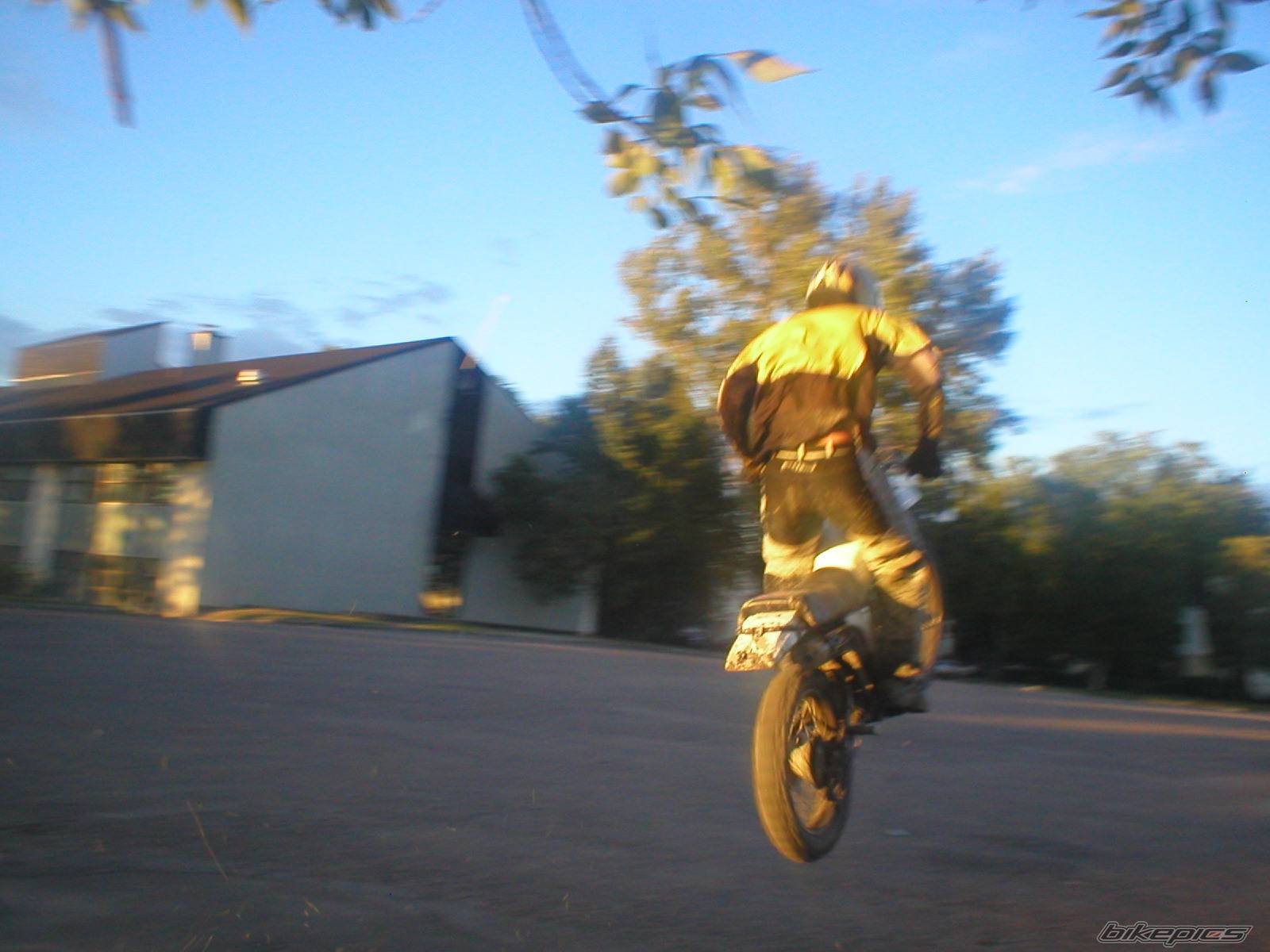 Photo 543601