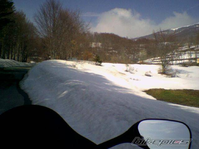 Bike Photo 543604
