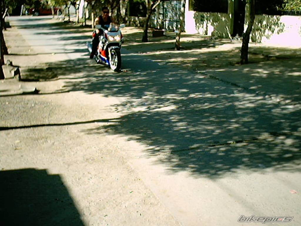 Photo 54366