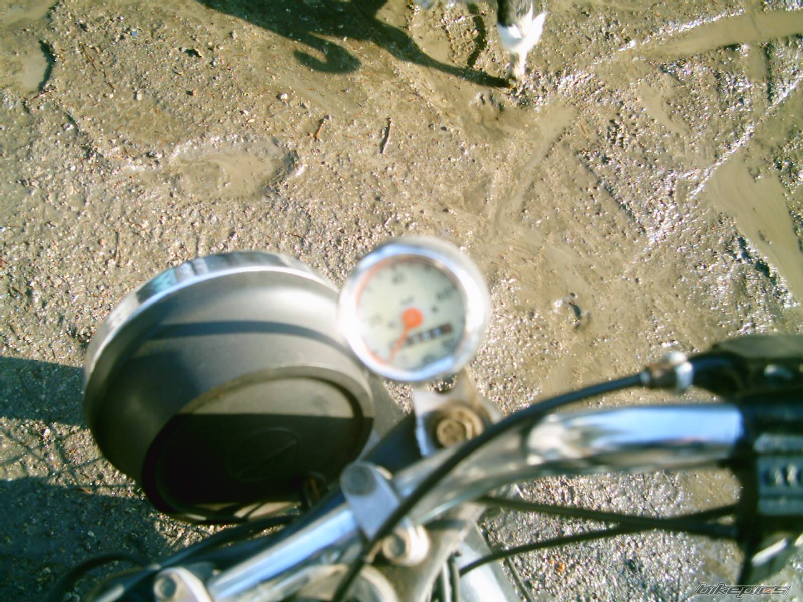 Bike Photo 544148