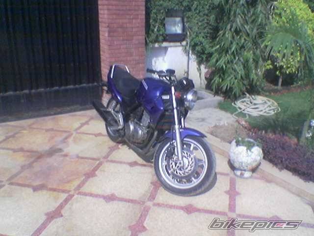 Photo 544198