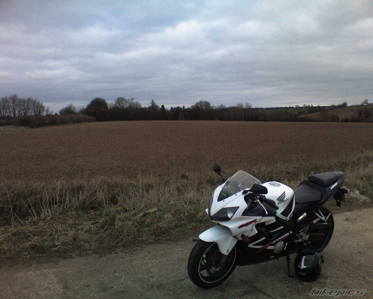 Photo 544232