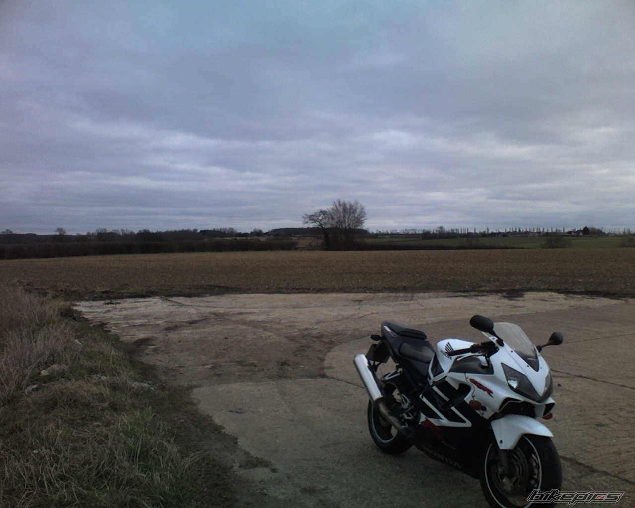 Photo 544238