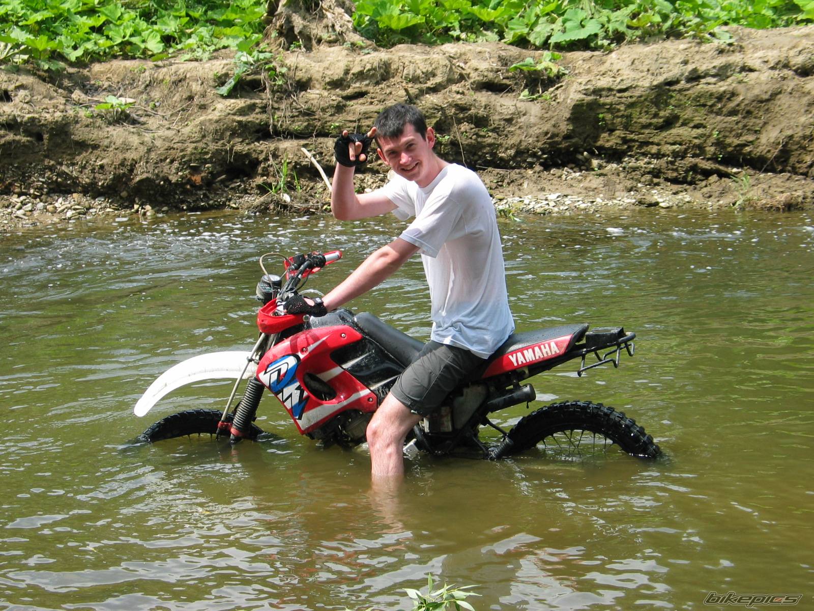 Bike Photo 544799