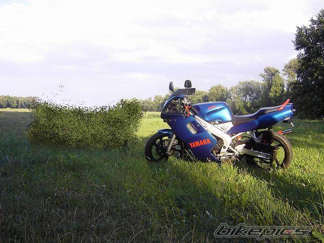 Photo 544859
