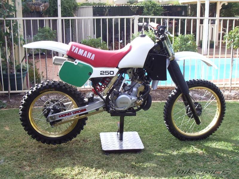 Bike Photo 544877