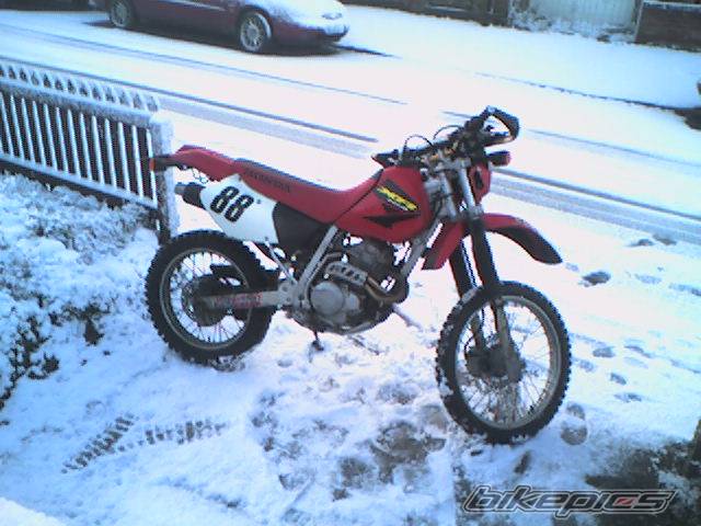 Bike Photo 544885