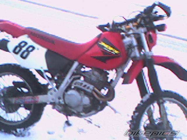 Bike Photo 544886