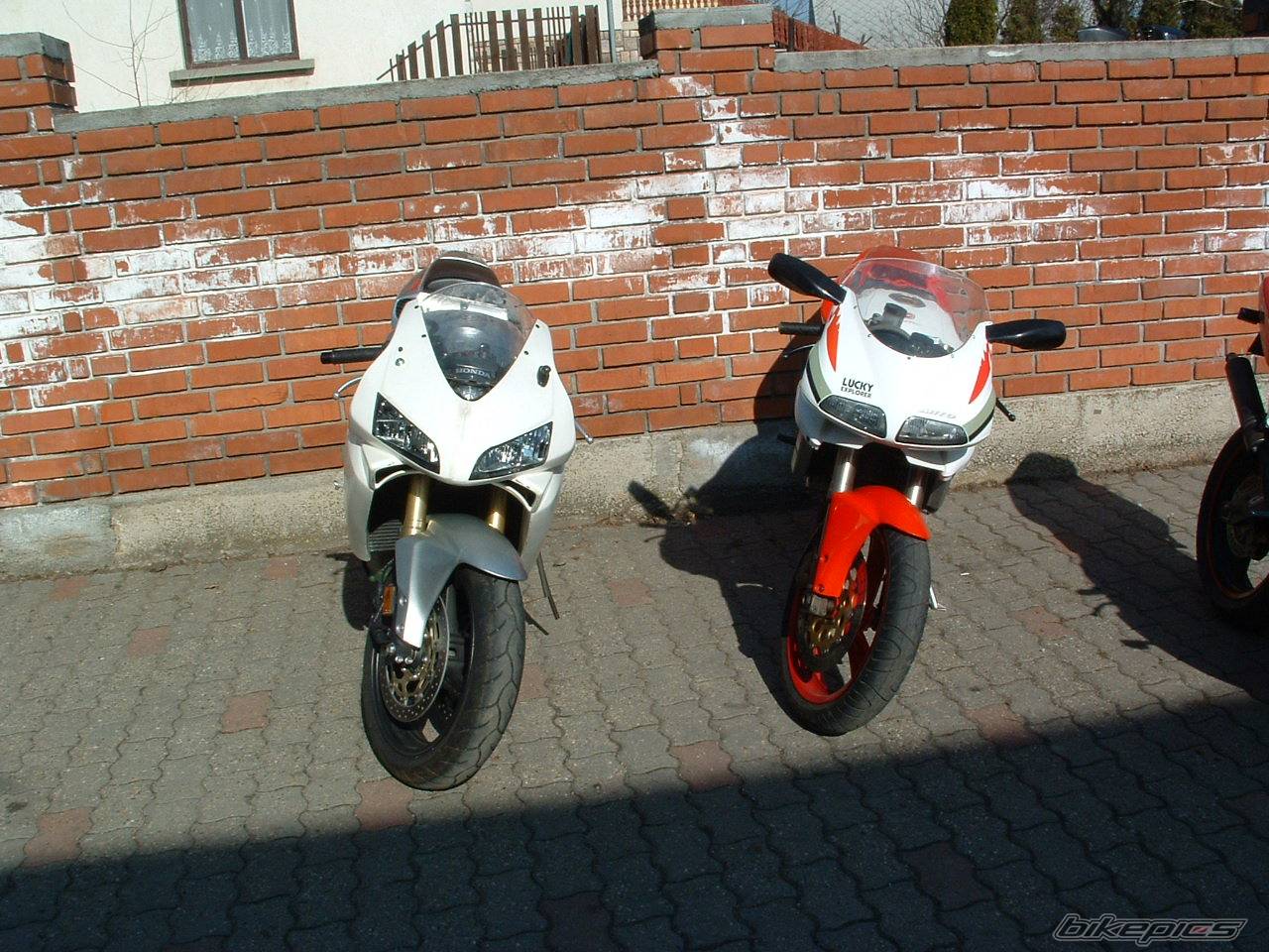 Photo 545334