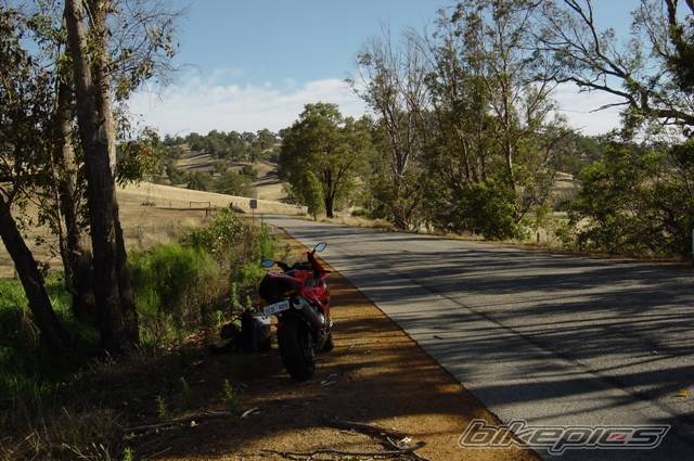 Bike Photo 545469