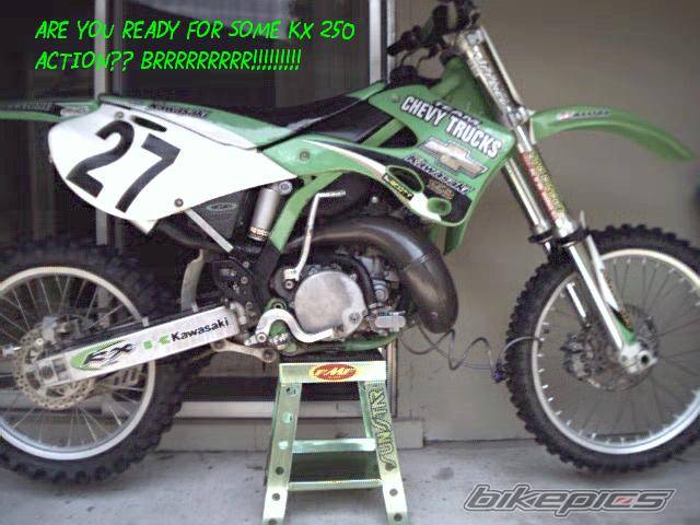 Bike Photo 54549