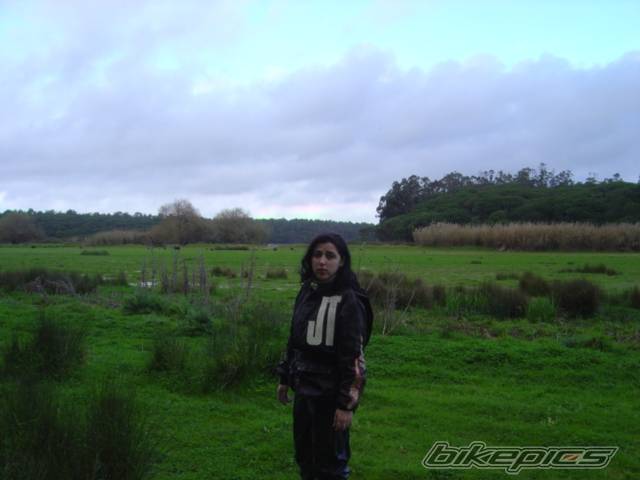 Photo 545598