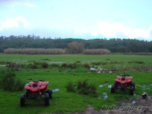 Photo 545610