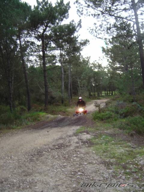 Photo 545632