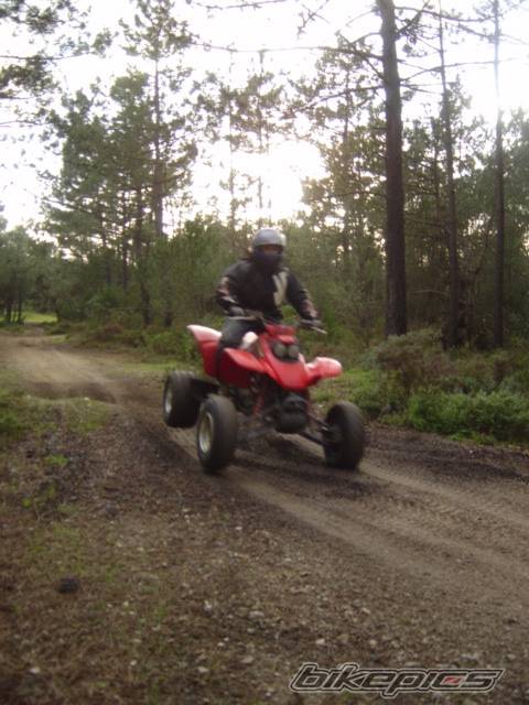 Photo 545683